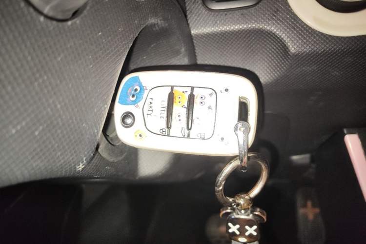Used Wuling Hongguang MINIEV 2020 Enjoyment Model Lithium Iron Phosphate Vehicle Key
