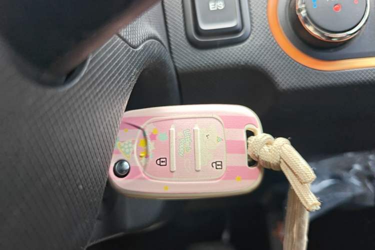 Used Wuling Hongguang MINIEV 2020 Zizai Version Lithium-NMC Vehicle Key