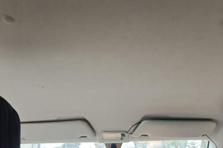 Used Wuling Hongguang MINIEV 2020 Enjoy Edition Lithium-Ion Battery Headliner