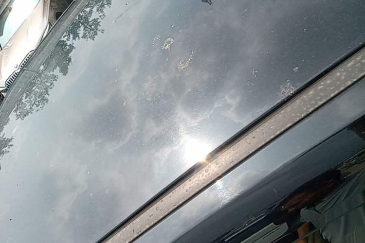 Used Wuling Hongguang MINIEV 2021 Macaron Premium Model – Lithium-NMC Roof