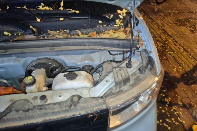 Used Wuling Hongguang MINIEV 2021 Macaron Fashion Model Lithium Iron Phosphate Engine Bay Left