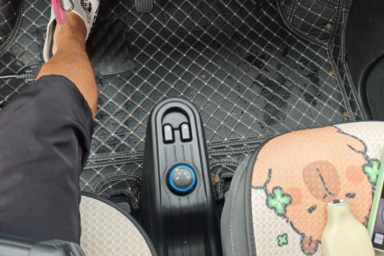 Used Wuling Hongguang MINIEV 2021 Macaron Fashion Edition Lithium-Ion Battery Gear Lever