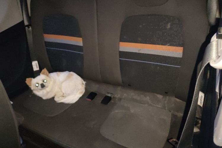 Used Wuling Hongguang MINIEV 2021 Macaron Fashion Model Lithium Iron Phosphate Left Rear Seat