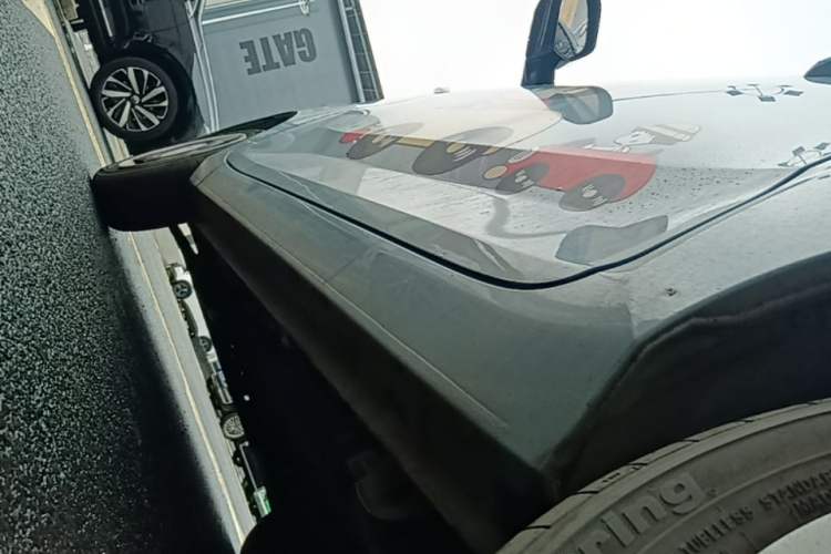 Used Wuling Hongguang MINIEV 2021 Macaron Sandwich Model 120 km Lithium Iron Phosphate Left Side Sill