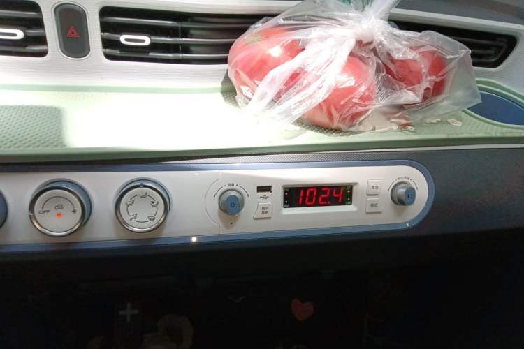 Used Wuling Hongguang MINIEV 2021 Macaron Premium Model – Lithium Iron Phosphate Audio And AC Panel