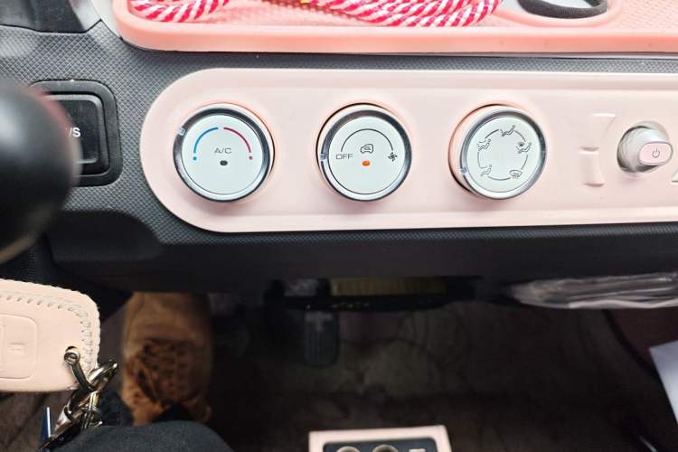 Used Wuling Hongguang MINIEV 2021 Macaron Fashion Model Lithium Iron Phosphate Audio And AC Panel