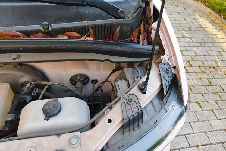 Used Wuling Hongguang MINIEV 2021 Macaron Fashion Model Lithium Iron Phosphate Engine Bay Left