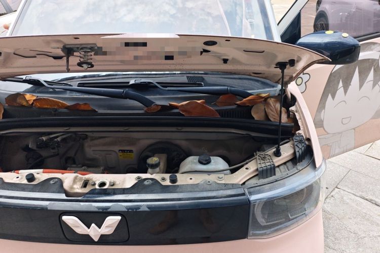 Used Wuling Hongguang MINIEV 2021 Macaron Fashion Model Lithium Iron Phosphate Engine Bay Left