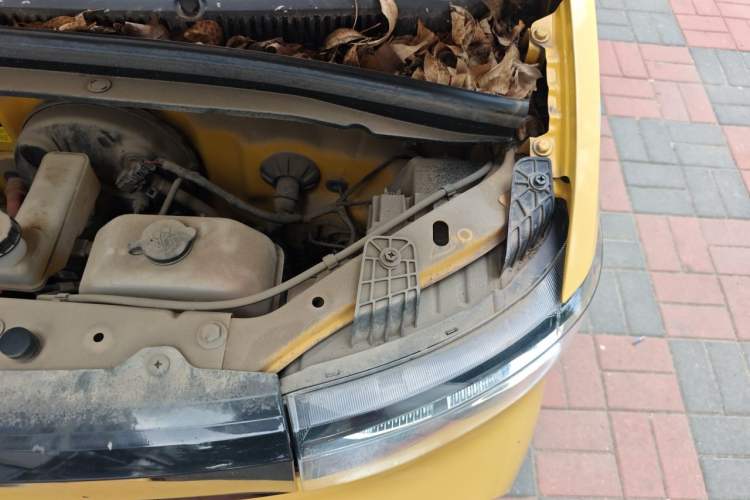 Used Wuling Hongguang MINIEV 2021 Macaron Fashion Model Lithium Iron Phosphate Engine Bay Left