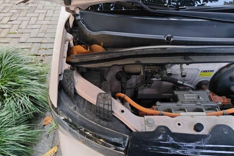 Used Wuling Hongguang MINIEV 2021 Macaron Premium Model – Lithium Iron Phosphate Engine Bay Right