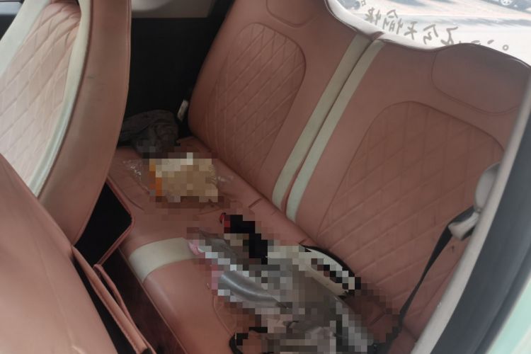 Used Wuling Hongguang MINIEV 2021 Macaron Premium Model – Lithium-NMC Left Rear Seat