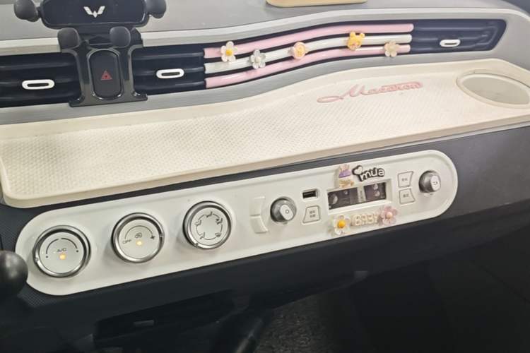 Used Wuling Hongguang MINIEV 2021 Macaron Fashion Model Lithium Iron Phosphate Audio And AC Panel