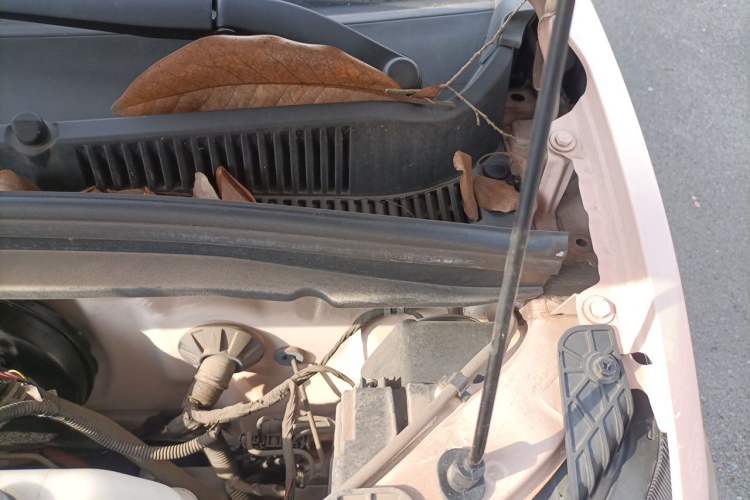 Used Wuling Hongguang MINIEV 2021 Macaron Fashion Edition Lithium-Ion Battery Engine Bay Left