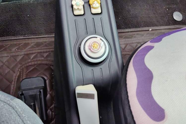 Used Wuling Hongguang MINIEV 2021 Macaron Premium Model – Lithium Iron Phosphate Gear Lever