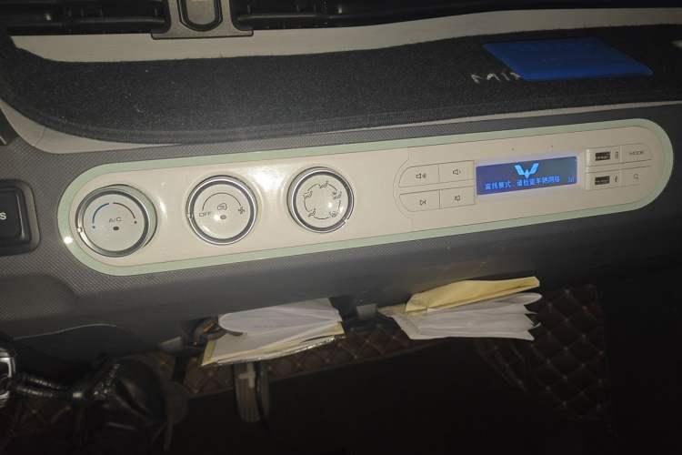 Used Wuling Hongguang MINIEV 2021 Macaron Fashion Model Lithium Iron Phosphate Audio And AC Panel