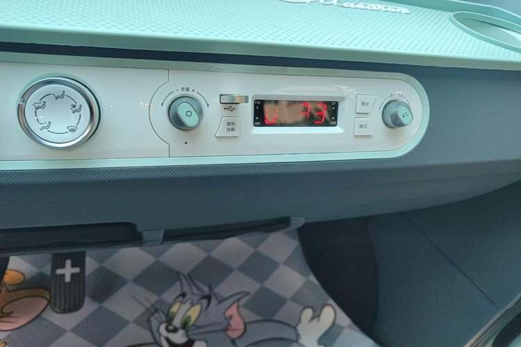 Used Wuling Hongguang MINIEV 2021 Macaron Fashion Model Lithium Iron Phosphate Audio And AC Panel