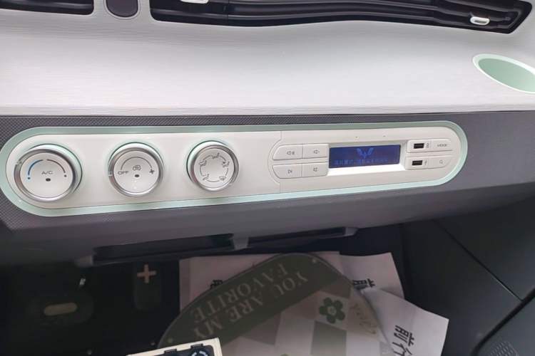Used Wuling Hongguang MINIEV 2021 Macaron Sandwich Model 120 km Lithium Iron Phosphate Audio And AC Panel