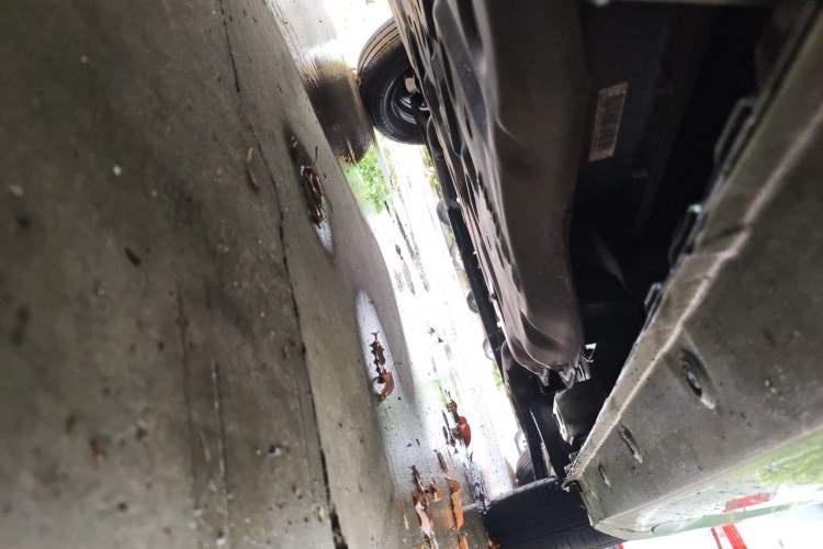 Used Wuling Hongguang MINIEV 2021 Macaron Premium Model – Lithium Iron Phosphate Chassis Rear Right