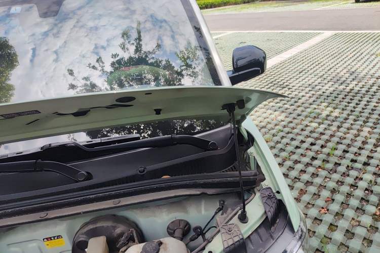 Used Wuling Hongguang MINIEV 2021 Macaron Fashion Model Lithium Iron Phosphate Engine Bay Left