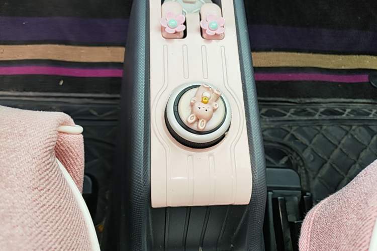Used Wuling Hongguang MINIEV 2021 Macaron Premium Model – Lithium Iron Phosphate Gear Lever