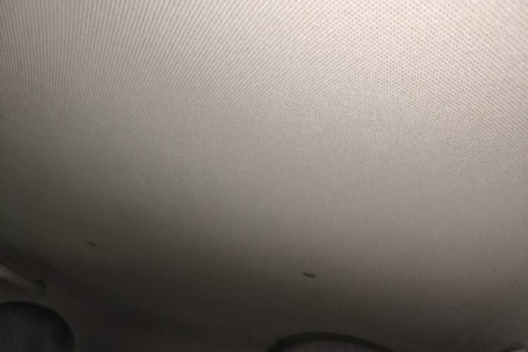 Used Wuling Hongguang MINIEV 2021 Macaron Premium Model – Lithium Iron Phosphate Headliner