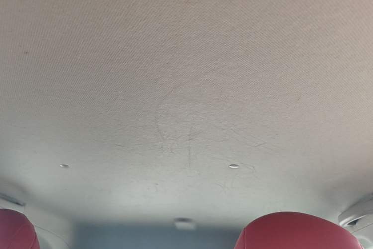 Used Wuling Hongguang MINIEV 2021 Macaron Fashion Edition Lithium-Ion Battery Headliner