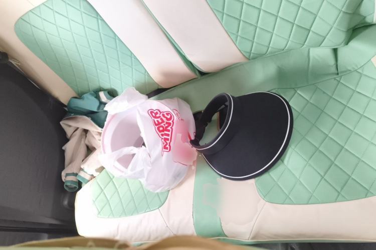 Used Wuling Hongguang MINIEV 2021 Macaron Fashion Model Lithium Iron Phosphate Left Rear Seat