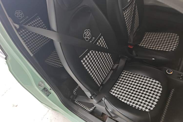 Used Wuling Hongguang MINIEV 2021 Macaron Fashion Model Lithium Iron Phosphate Right Front Seat