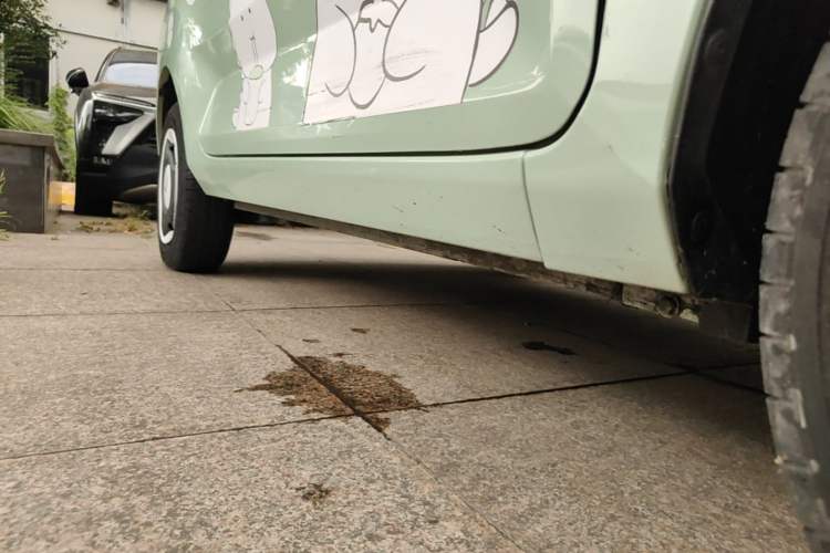 Used Wuling Hongguang MINIEV 2021 Macaron Premium Model – Lithium Iron Phosphate Right Side Sill