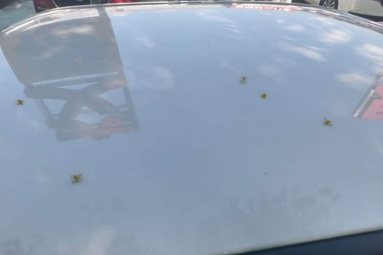 Used Wuling Hongguang MINIEV 2021 Macaron Premium Model – Lithium Iron Phosphate Roof