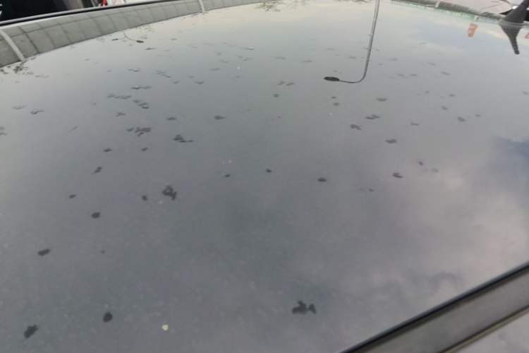 Used Wuling Hongguang MINIEV 2021 Macaron Fashion Model Lithium Iron Phosphate Roof