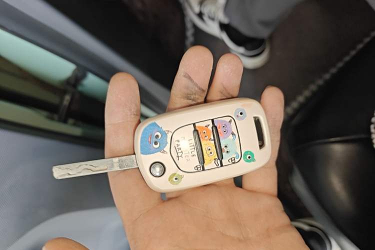 Used Wuling Hongguang MINIEV 2021 Macaron Fashion Model Lithium Iron Phosphate Vehicle Key