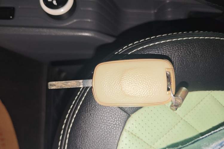 Used Wuling Hongguang MINIEV 2021 Macaron Sandwich Model 120 km Lithium Iron Phosphate Vehicle Key