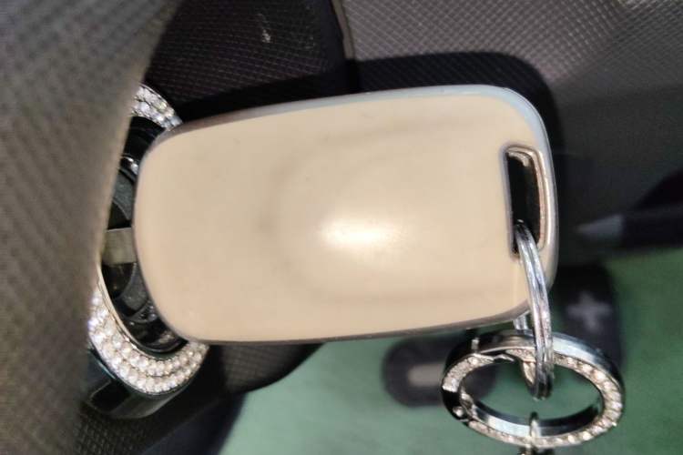 Used Wuling Hongguang MINIEV 2021 Macaron Fashion Model Lithium Iron Phosphate Vehicle Key