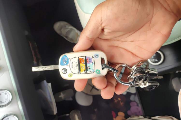 Used Wuling Hongguang MINIEV 2021 Macaron Fashion Model Lithium Iron Phosphate Vehicle Key