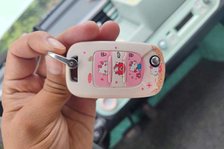 Used Wuling Hongguang MINIEV 2021 Macaron Fashion Model Lithium Iron Phosphate Vehicle Key