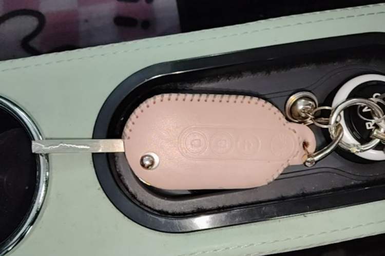 Used Wuling Hongguang MINIEV 2021 Macaron Premium Model – Lithium Iron Phosphate Vehicle Key