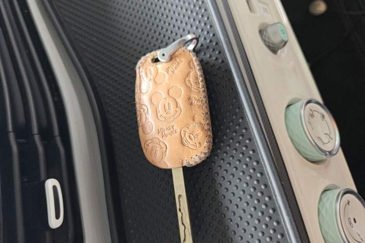 Used Wuling Hongguang MINIEV 2021 Macaron Fashion Model Lithium Iron Phosphate Vehicle Key