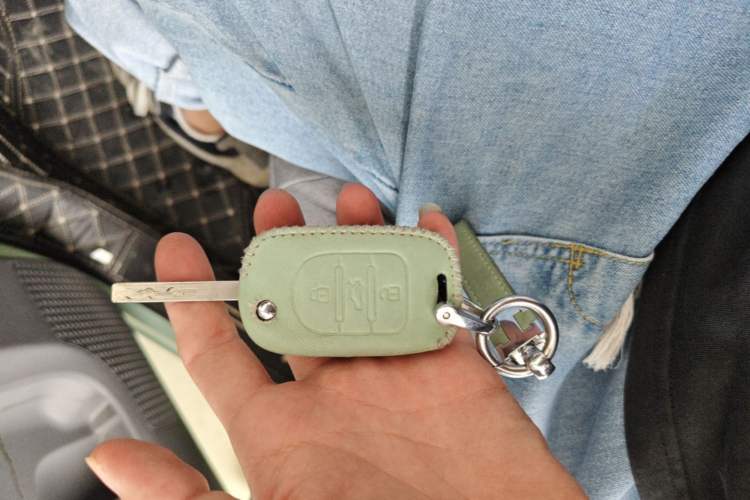 Used Wuling Hongguang MINIEV 2021 Macaron Fashion Model Lithium Iron Phosphate Vehicle Key