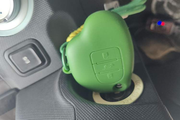 Used Wuling Hongguang MINIEV 2021 Macaron Fashion Model Lithium Iron Phosphate Vehicle Key