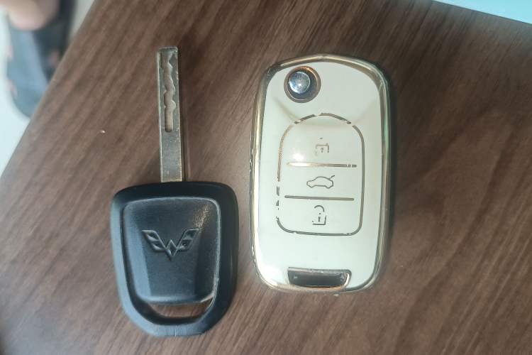 Used Wuling Hongguang MINIEV 2021 Macaron Premium Model – Lithium-NMC Vehicle Key