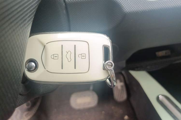 Used Wuling Hongguang MINIEV 2021 Macaron Fashion Model Lithium Iron Phosphate Vehicle Key