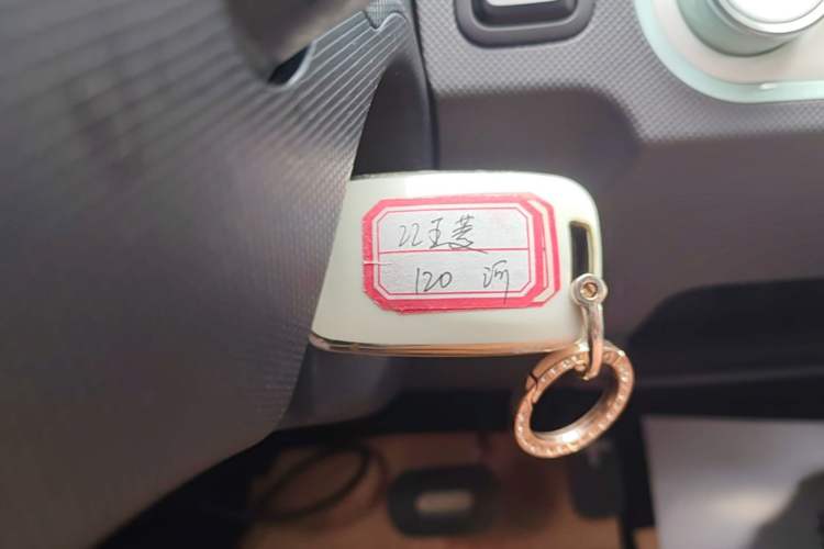 Used Wuling Hongguang MINIEV 2021 Macaron Fashion Model Lithium Iron Phosphate Vehicle Key