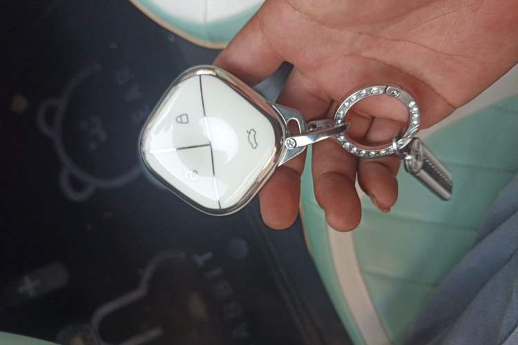 Used Wuling Hongguang MINIEV 2021 Macaron Fashion Model Lithium Iron Phosphate Vehicle Key