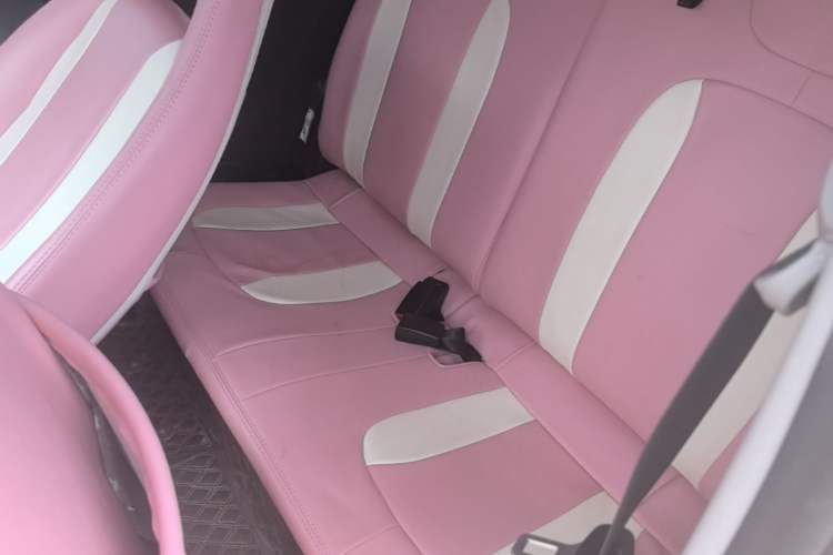 Used Wuling Hongguang MINIEV 2021 Macaron Sandwich Model 120 km Lithium Iron Phosphate Left Rear Seat