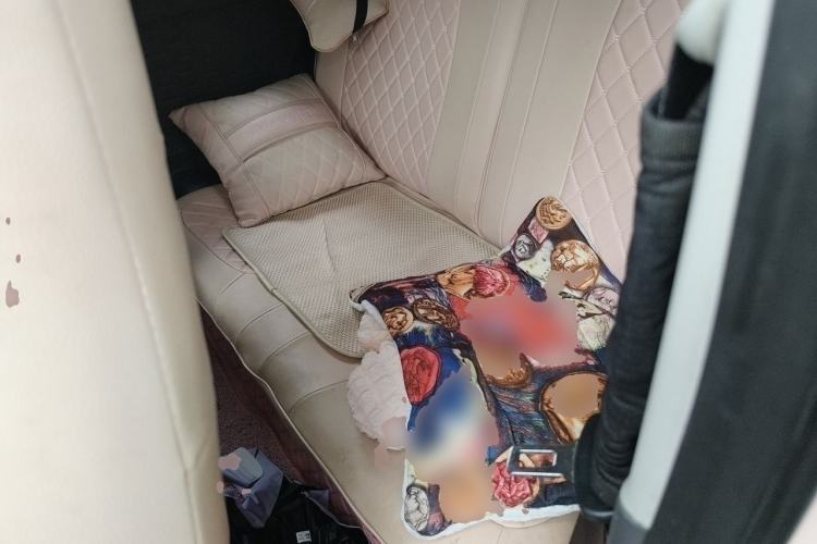 Used Wuling Hongguang MINIEV 2021 Macaron Fashion Edition Lithium-Ion Battery Left Rear Seat