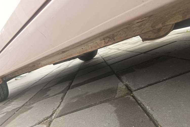 Used Wuling Hongguang MINIEV 2021 Macaron Premium Model – Lithium-NMC Left Side Sill
