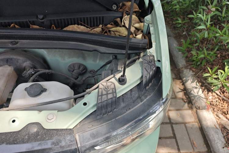Used Wuling Hongguang MINIEV 2021 Macaron Fashion Model Lithium Iron Phosphate Engine Bay Left