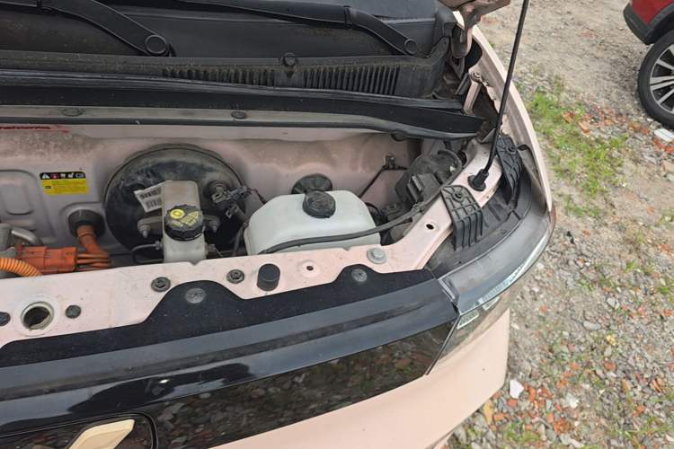 Used Wuling Hongguang MINIEV 2021 Macaron Fashion Model Lithium Iron Phosphate Engine Bay Left