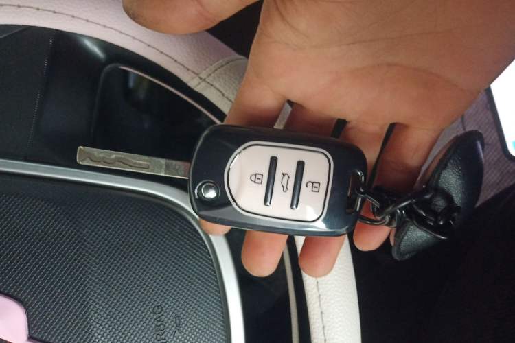 Used Wuling Hongguang MINIEV 2021 Macaron Fashion Model Lithium Iron Phosphate Vehicle Key